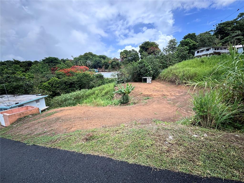 Barrio Guadiana, Camino Colon, Naranjito - 7