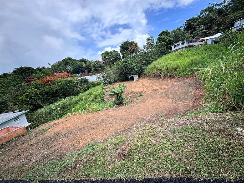 Barrio Guadiana, Camino Colon, Naranjito - 8