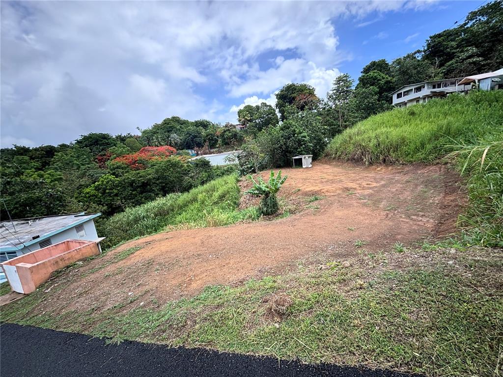 Barrio Guadiana, Camino Colon, Naranjito - 9