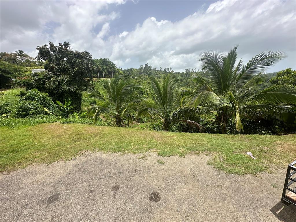 2, Carr 108, Km 20.5, Anasco - 16