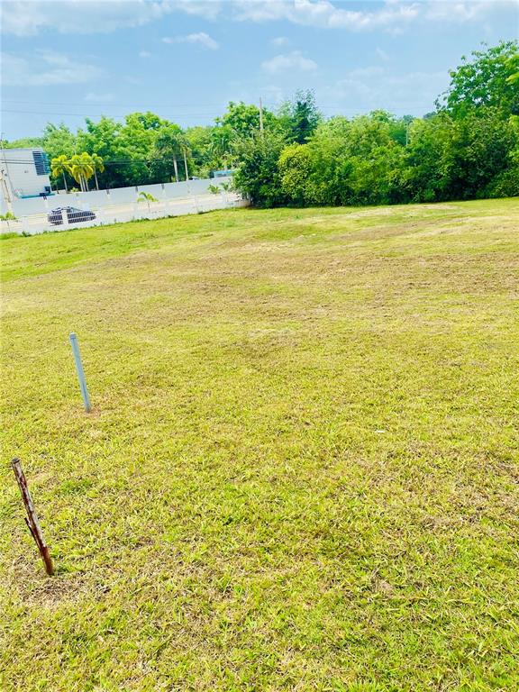 Lot 2, 308, Bahia Real Ii Lot 2, Cabo Rojo - 3