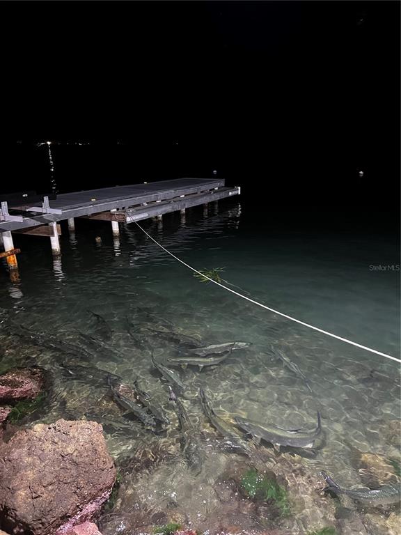 Lot 2, 308, Bahia Real Ii Lot 2, Cabo Rojo - 5