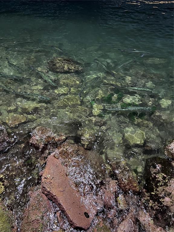 Lot 2, 308, Bahia Real Ii Lot 2, Cabo Rojo - 6