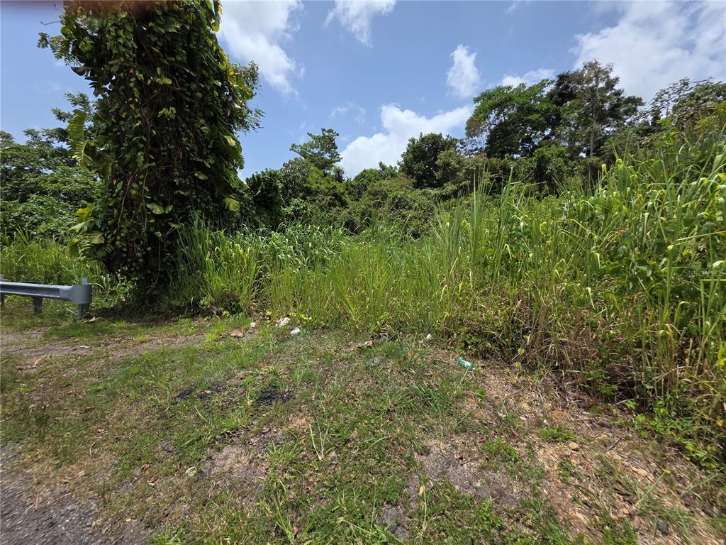 Carr-137, Morovis - 3