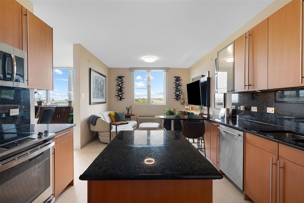 2 A6, 1, Palma Real Ave., Guaynabo - 14