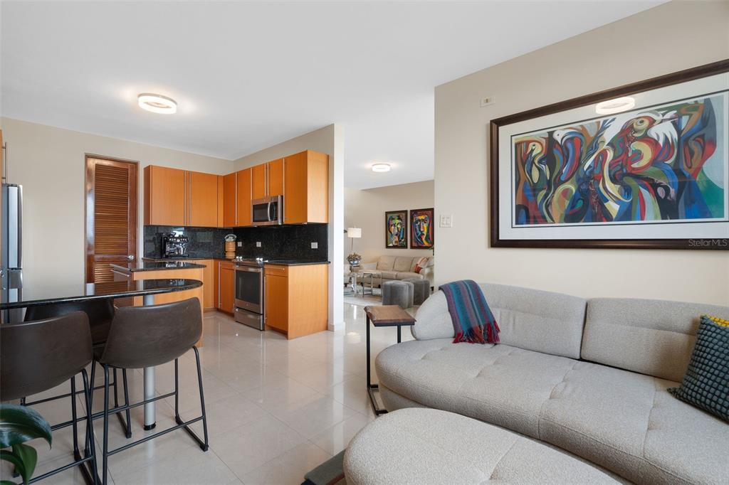 2 A6, 1, Palma Real Ave., Guaynabo - 17