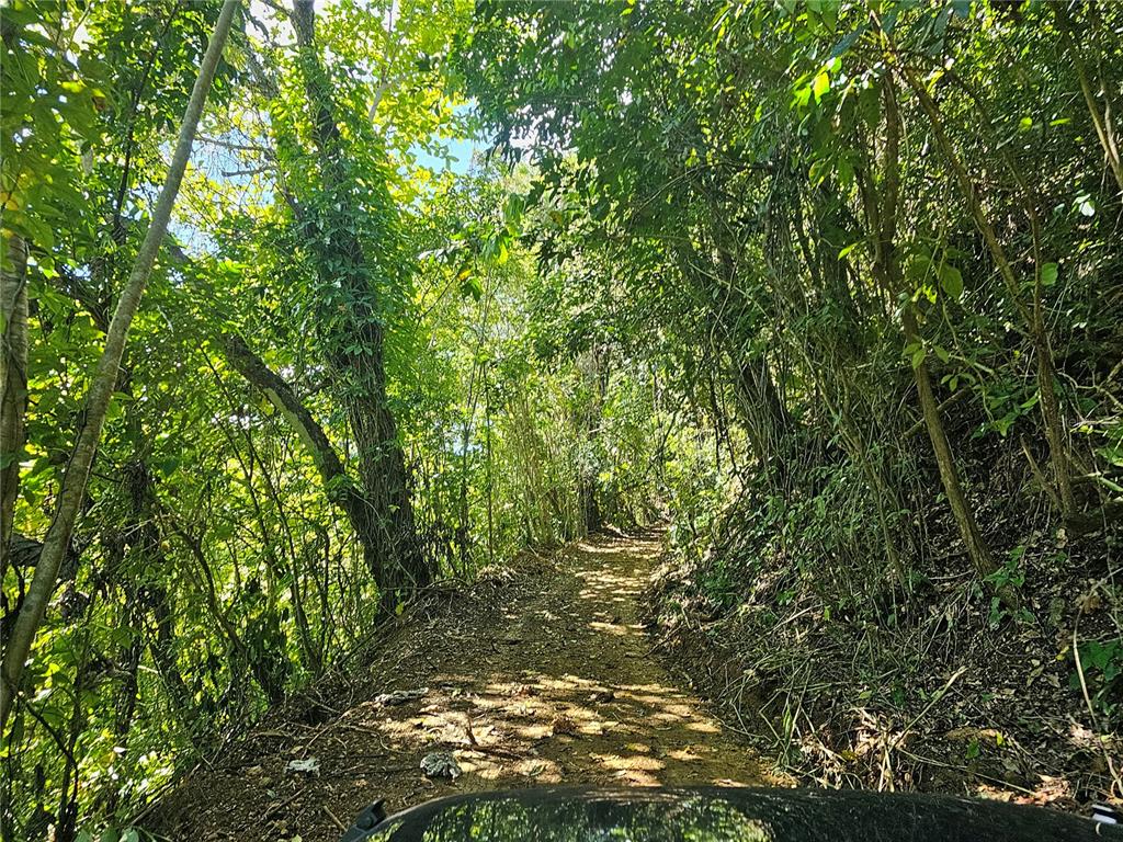 Pr-159, Morovis - 10