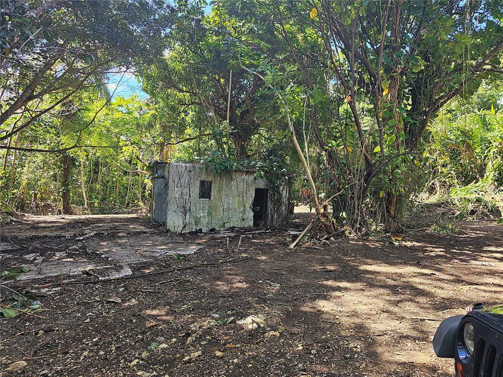 Pr-159, Morovis - 11