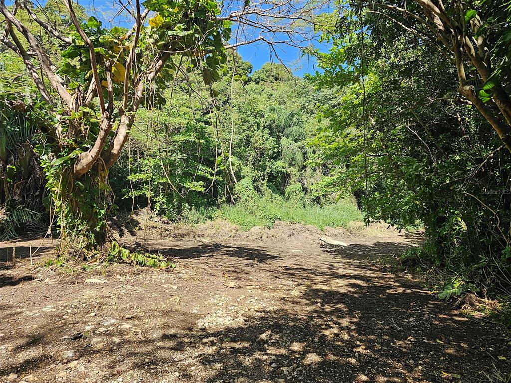 Pr-159, Morovis - 13