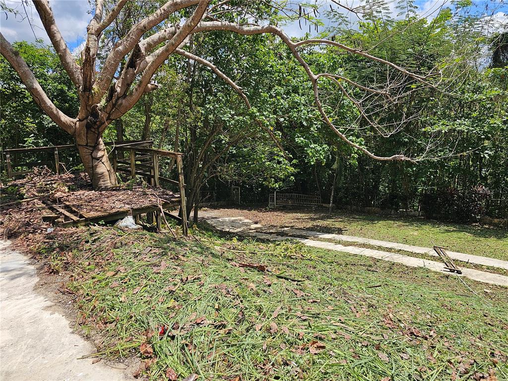 Pr-159, Morovis - 18
