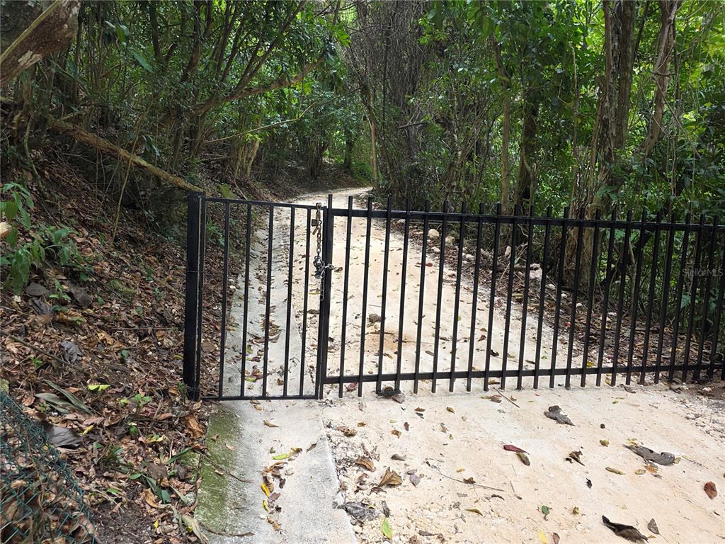 Pr-159, Morovis - 19