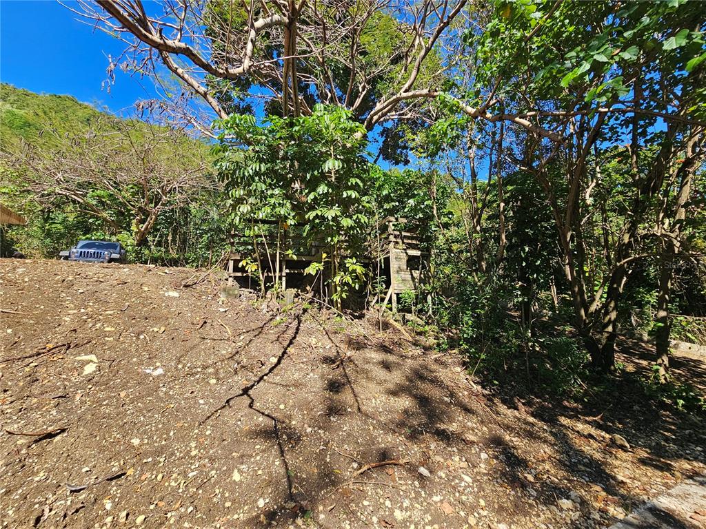 Pr-159, Morovis - 2