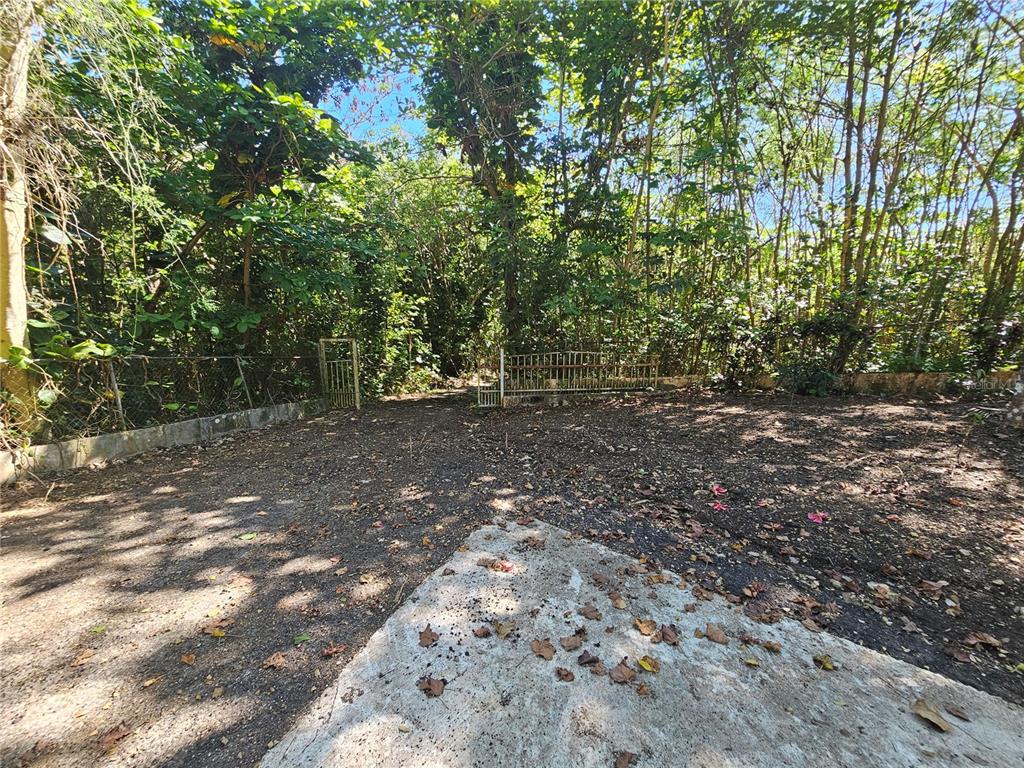 Pr-159, Morovis - 4