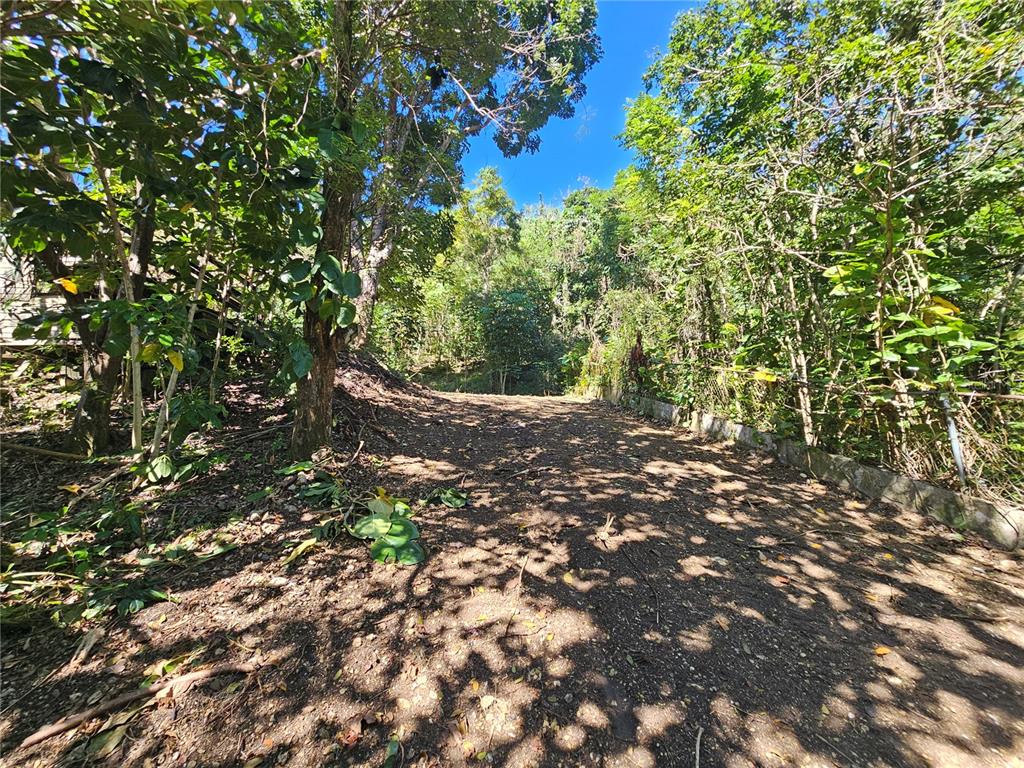 Pr-159, Morovis - 5