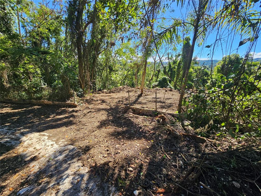 Pr-159, Morovis - 6