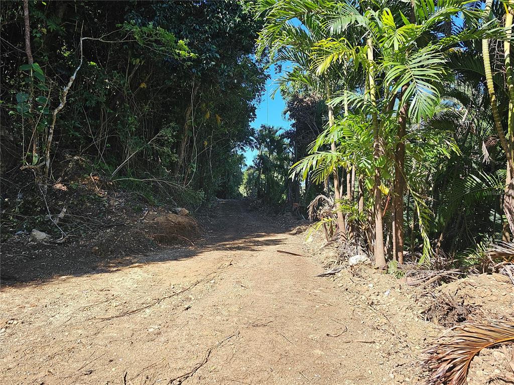 Pr-159, Morovis - 7