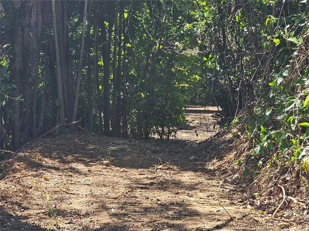 Pr-159, Morovis - 8