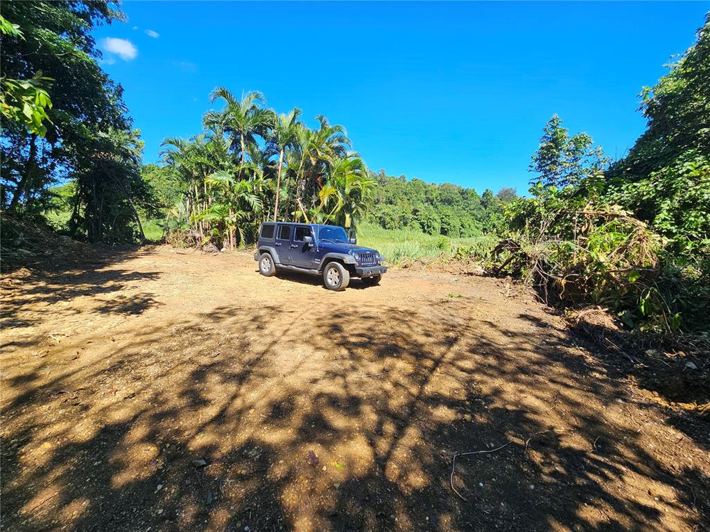 Pr-159, Morovis - 9