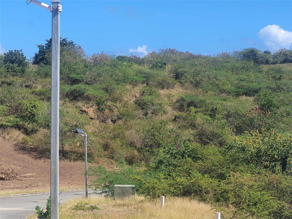 6, Posada Del Coronel, Culebra - 10