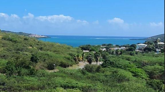 6, Posada Del Coronel, Culebra - 3