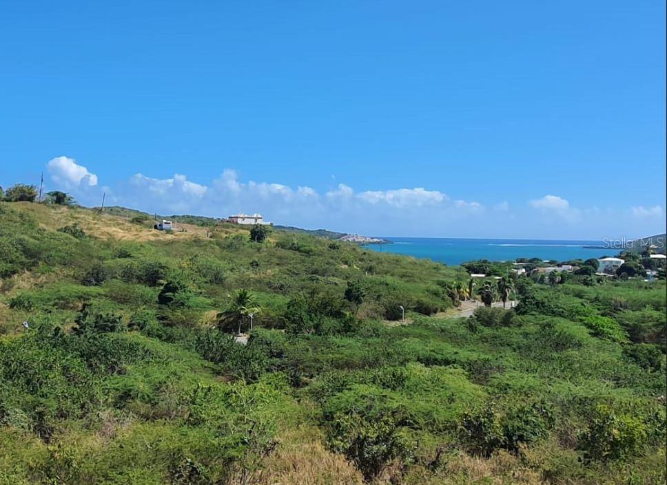 6, Posada Del Coronel, Culebra - 4
