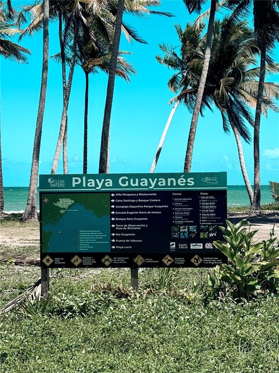 Km 5.0, 906, Yabucoa - 15