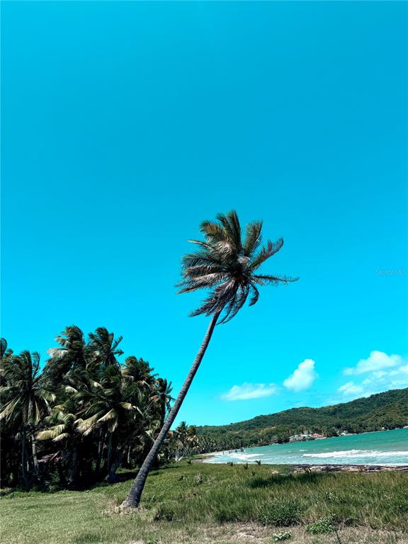 Km 5.0, 906, Yabucoa - 16