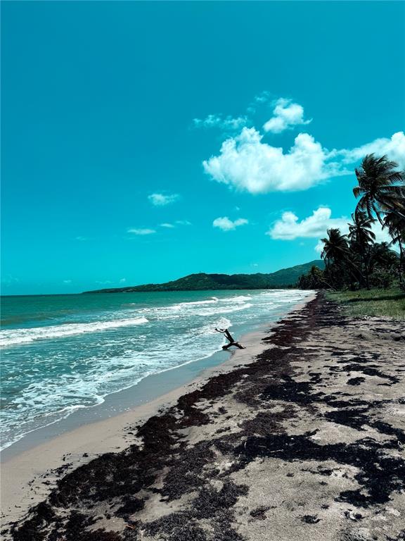Km 5.0, 906, Yabucoa - 20