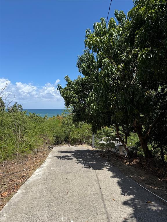 Km 5.0, 906, Yabucoa - 21