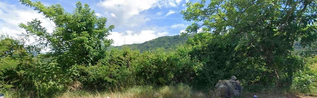 14 Pr, Coamo - 8