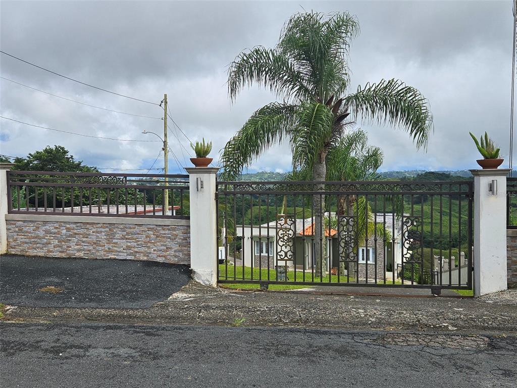 Pr 152 Km 1.7, Quebrada Grande Ward, Barranquitas - 15
