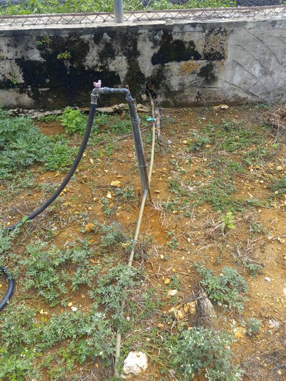 1, Sauce Street, Aguadilla - 10