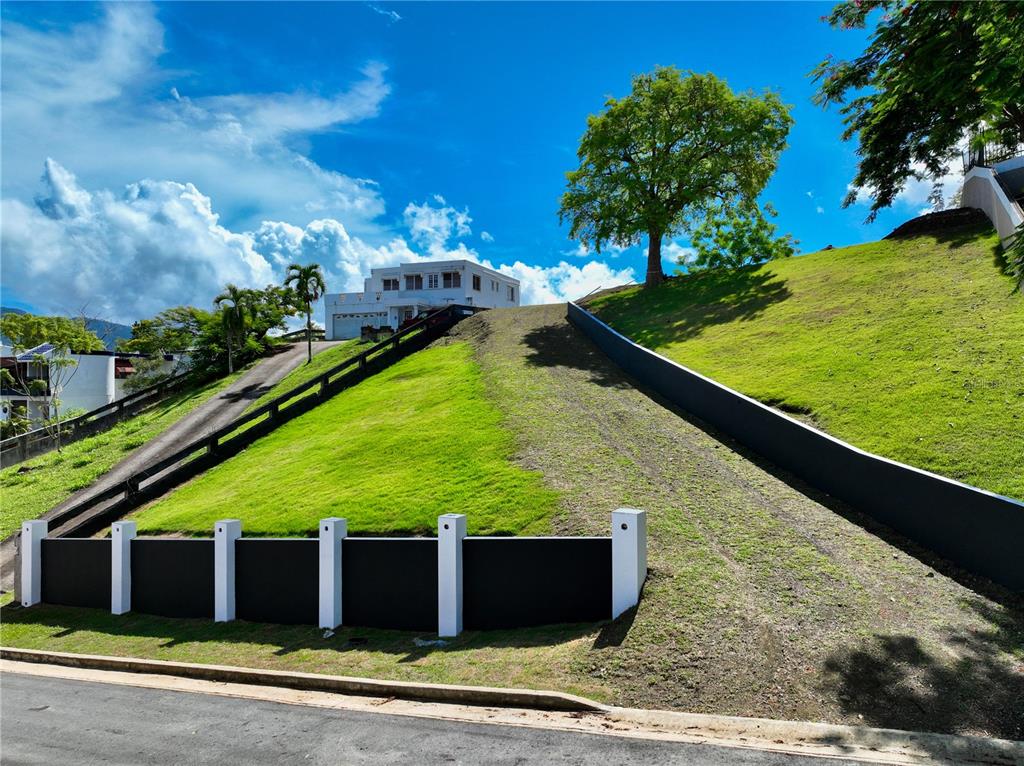40, Mamey, 189, Gurabo - 1