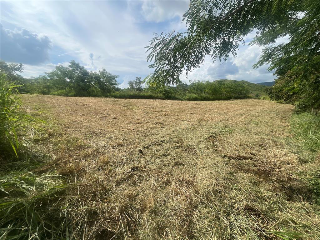 Km Hm 17.7, Carr 150, Coamo - 1