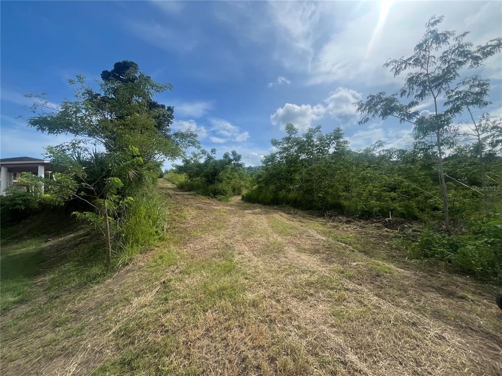 Km Hm 17.7, Carr 150, Coamo - 3