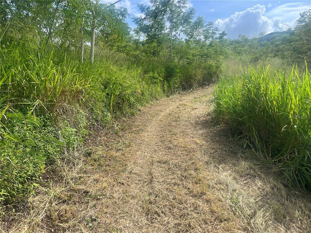 Km Hm 17.7, Carr 150, Coamo - 4