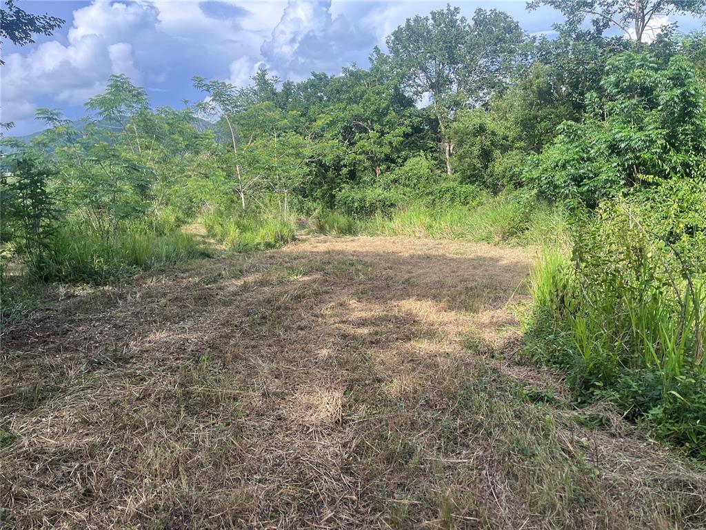 Km Hm 17.7, Carr 150, Coamo - 5