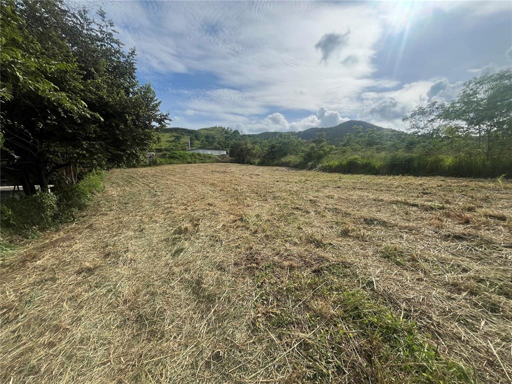 Km Hm 17.7, Carr 150, Coamo - 6