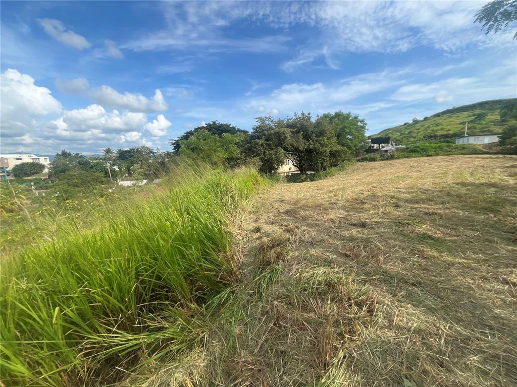 Km Hm 17.7, Carr 150, Coamo - 7