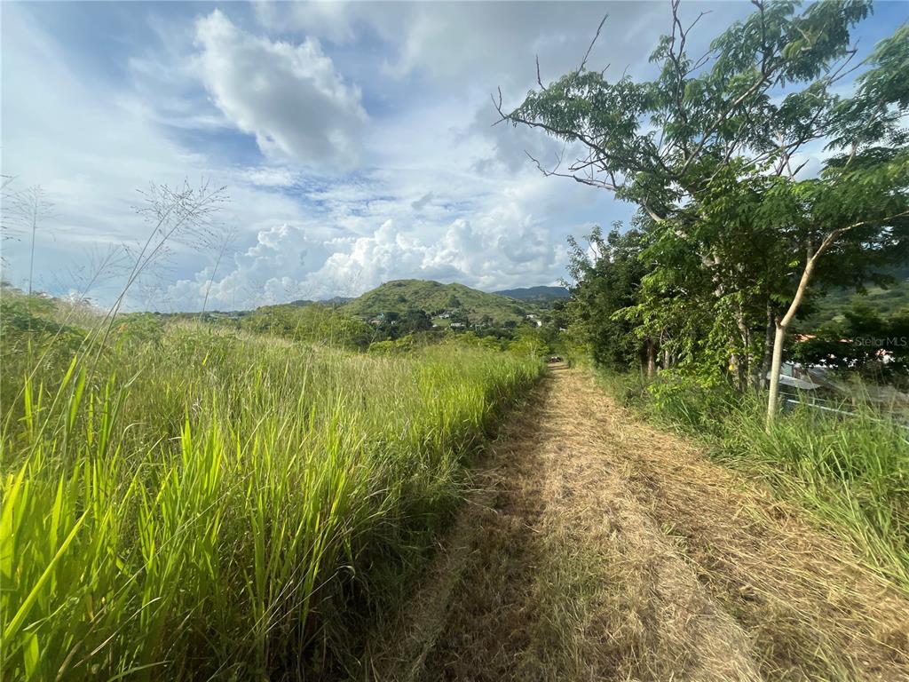 Km Hm 17.7, Carr 150, Coamo - 8