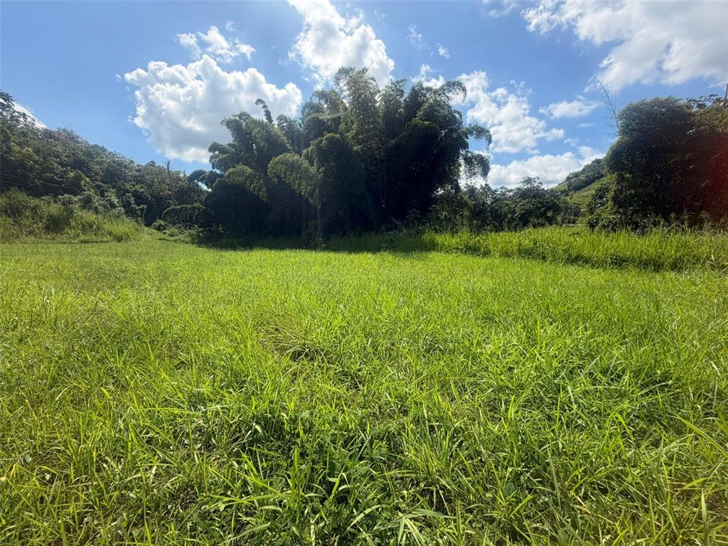 172, Cidra - 4