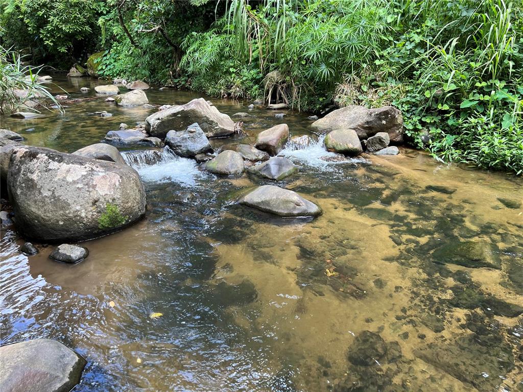 Km 8.0 Int., Pr-765 Bo. San Salvador, Caguas - 4