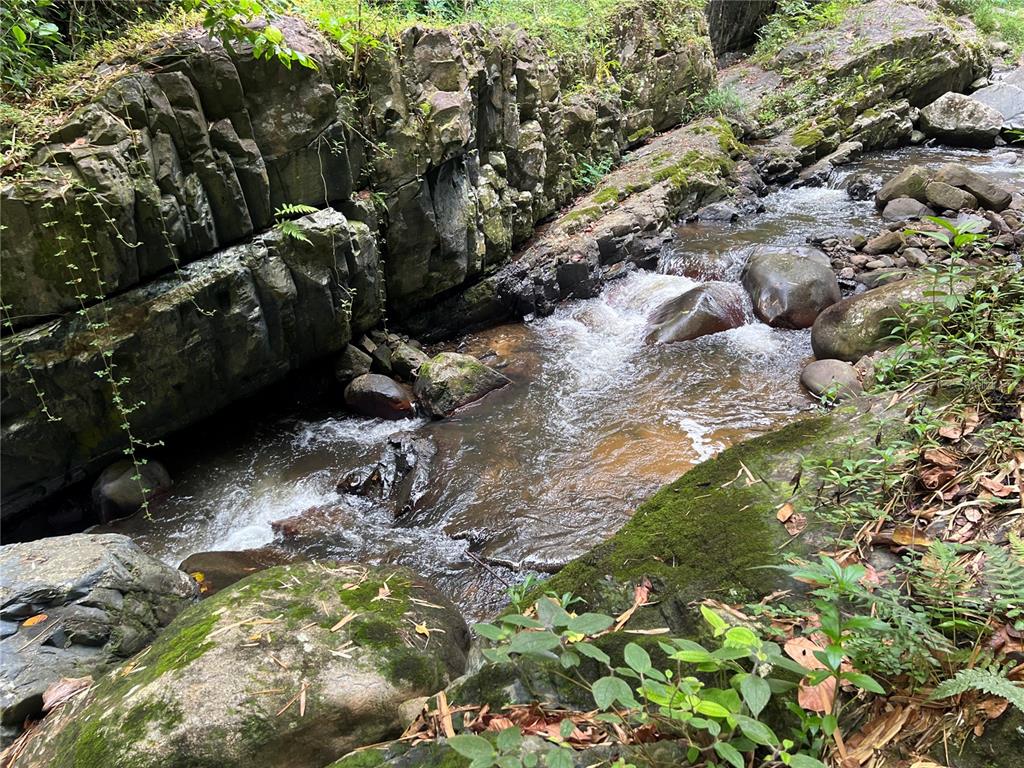 Km 8.0 Int., Pr-765 Bo. San Salvador, Caguas - 5