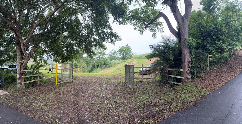 Route 159, Corozal - 1
