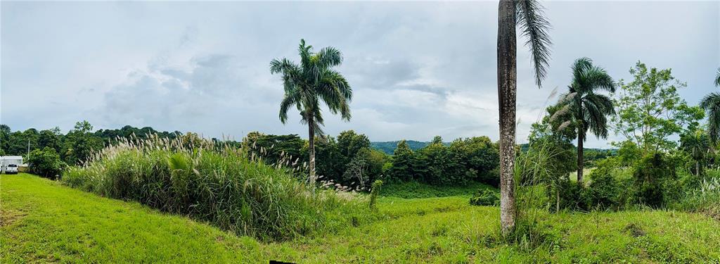 Route 159, Corozal - 10