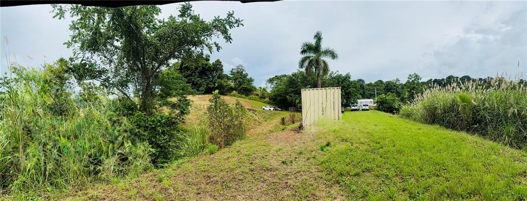 Route 159, Corozal - 11