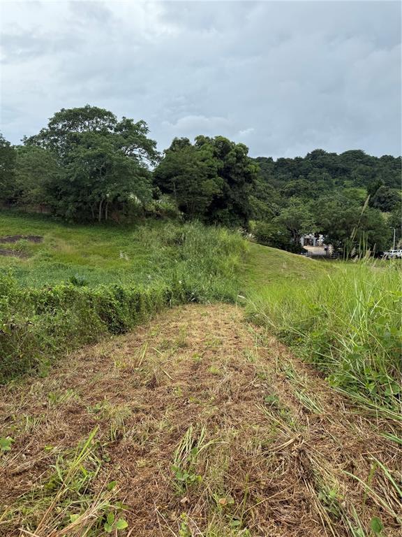 Route 159, Corozal - 13
