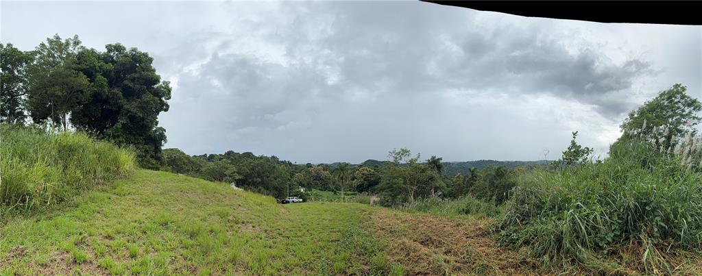Route 159, Corozal - 14