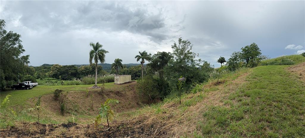 Route 159, Corozal - 16