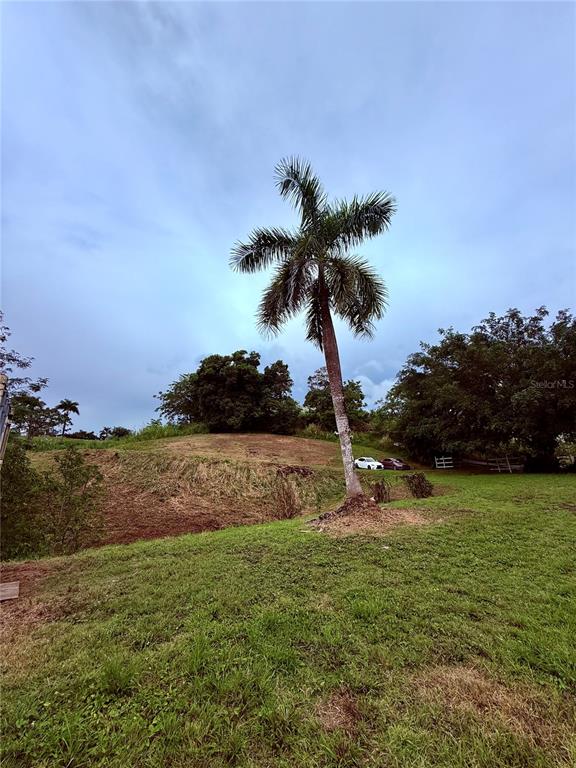 Route 159, Corozal - 17